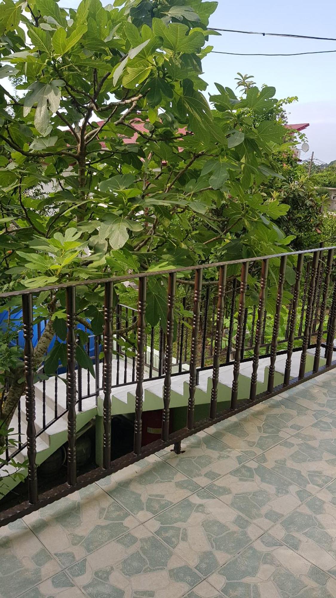 Hotel Captain โกนิโอ ภายนอก รูปภาพ